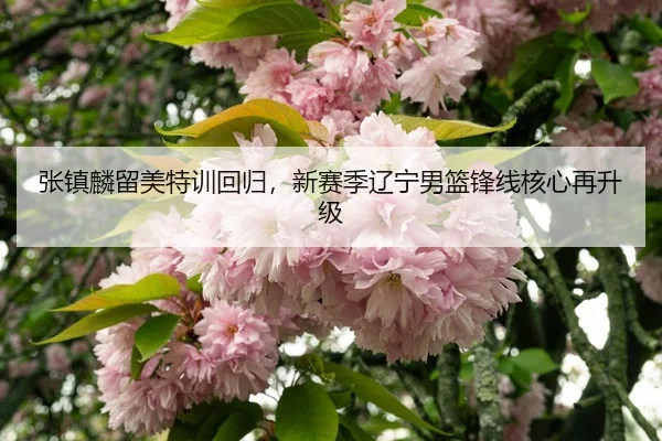 zhang-zhen-lin-liu-mei-te-xun-hui-gui-xin-sai-ji-liao-ning-nan-lan-feng-xian-he-xin-zai-sheng-ji-3-957.jpg