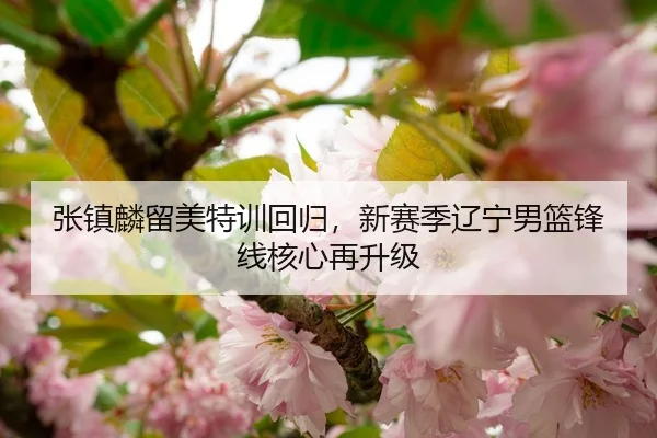 张镇麟留美特训回归，新赛季辽宁男篮锋线核心再升级