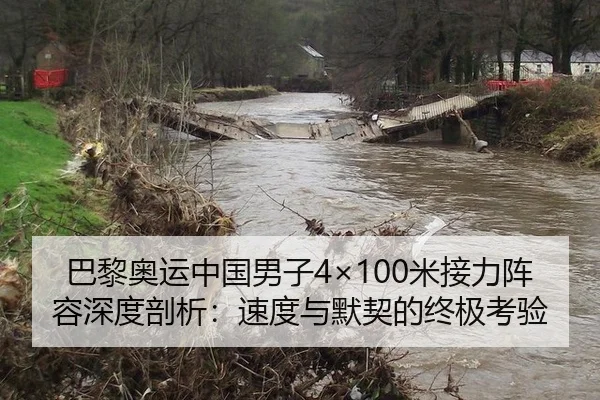 巴黎奥运中国男子4×100米接力阵容深度剖析：速度与默契的终极考验
