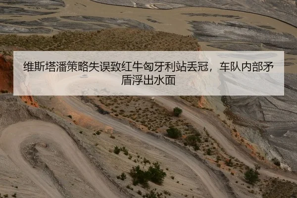 维斯塔潘策略失误致红牛匈牙利站丢冠，车队内部矛盾浮出水面