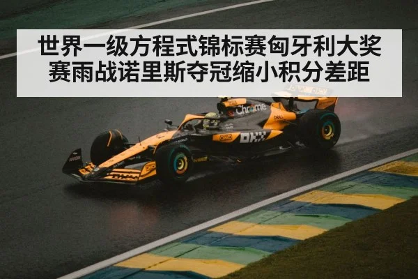 世界一级方程式锦标赛匈牙利大奖赛雨战诺里斯夺冠缩小积分差距
